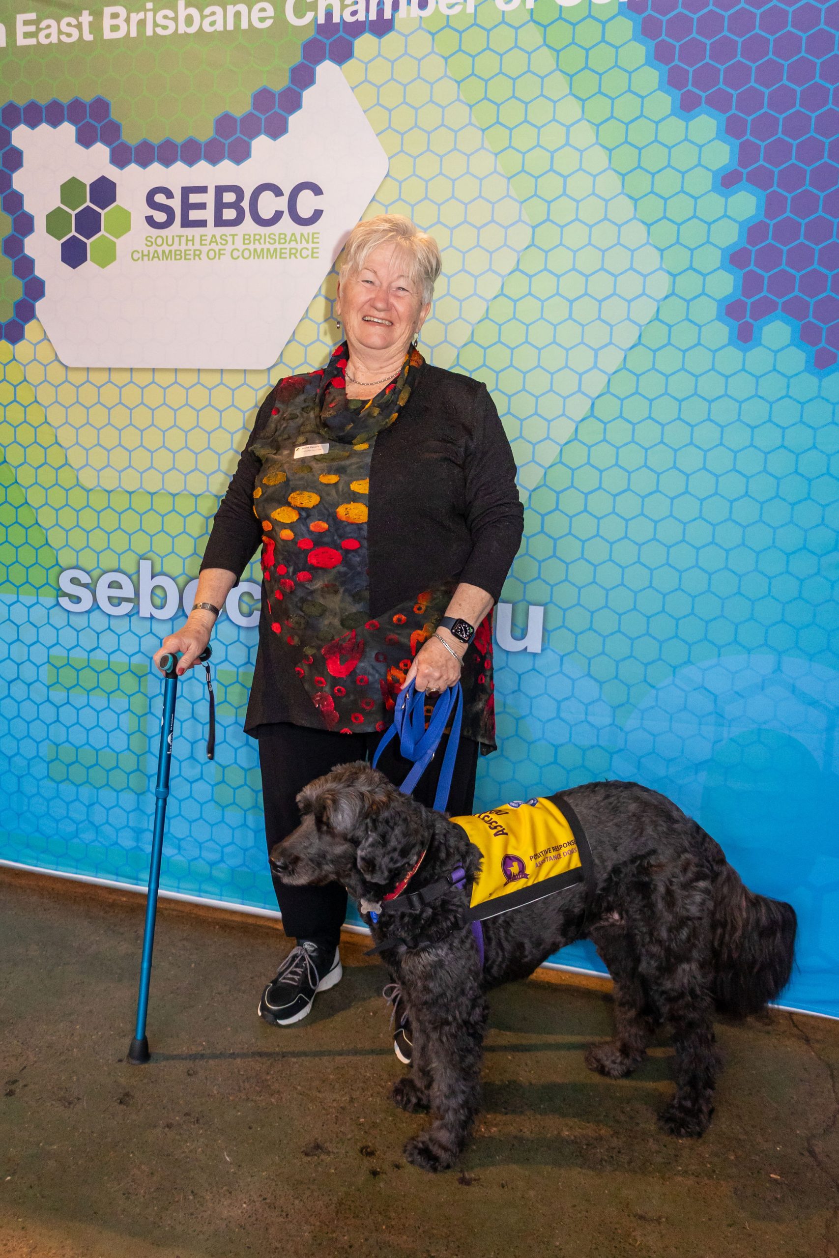 How SEBCC Supports Businesses In South East Brisbane Resourses and networking events